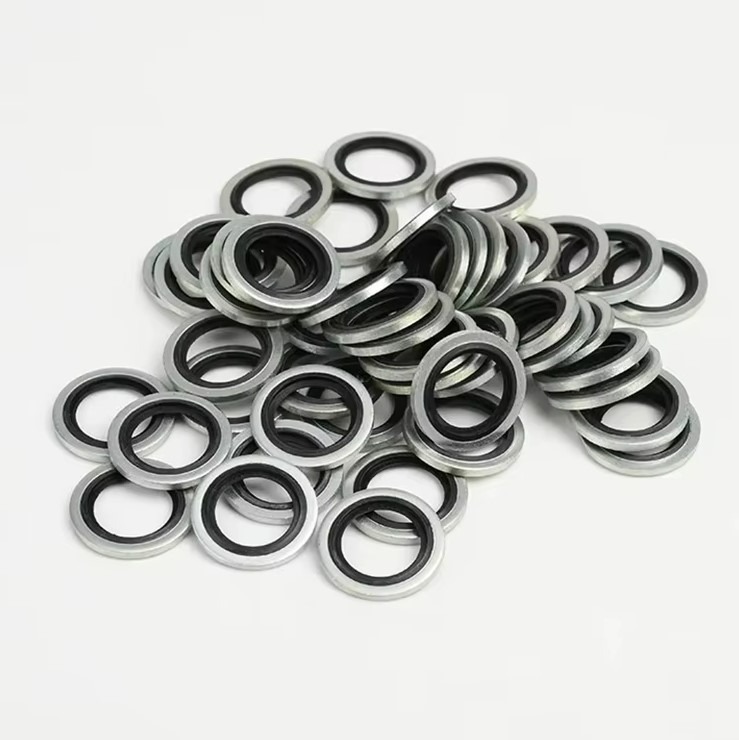 بست فيتنج واشرات BSP 1/4 5Pk